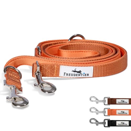 FREUDENTIER Hundeleine 2m – Verstellbare Führleine - Weich gepolstert, liegt angenehm in der Hand - Robuste Leine Hund für mittelgroße & große Hunde - Model Clyde (Orange, 2m Länge / 20mm Breite) FREUDENTIER Hundeleine 2m – Verstellbare Führleine - Weich gepolstert, liegt angenehm in der Hand - Robuste Leine Hund für mittelgroße & große Hunde - Model Clyde (Orange, 2m Länge / 20mm Breite)