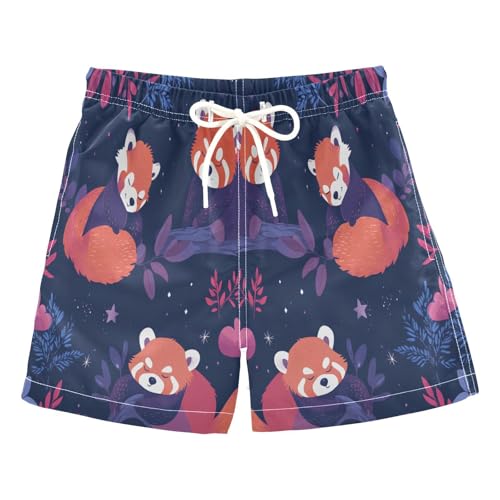 Jucciaco Boys Swim Trunk Quick Dry Beach Board Shorts Raccoon Cartoon Bear Panda Swimwear for Kids Multicolor