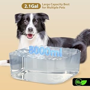 Dog-Water-Fountain-for-Large-Dogs-21Gal8L230oz-Pet-Water-Fountain-with-Intelligent-Mode-Ultra-Quiet-BPA-FreeBattery-Operatedcordless-LED-ReminderIdeal-for-Multiple-DogsCats - Cucciolini Doodles   Dog-Water-Fountain-for-Large-Dogs-21Gal8L230oz-Pet-Water-Fountain-with-Intelligent-Mode-Ultra-Quiet-BPA-FreeBattery-Operatedcordless-LED-ReminderIdeal-for-Multiple-DogsCats