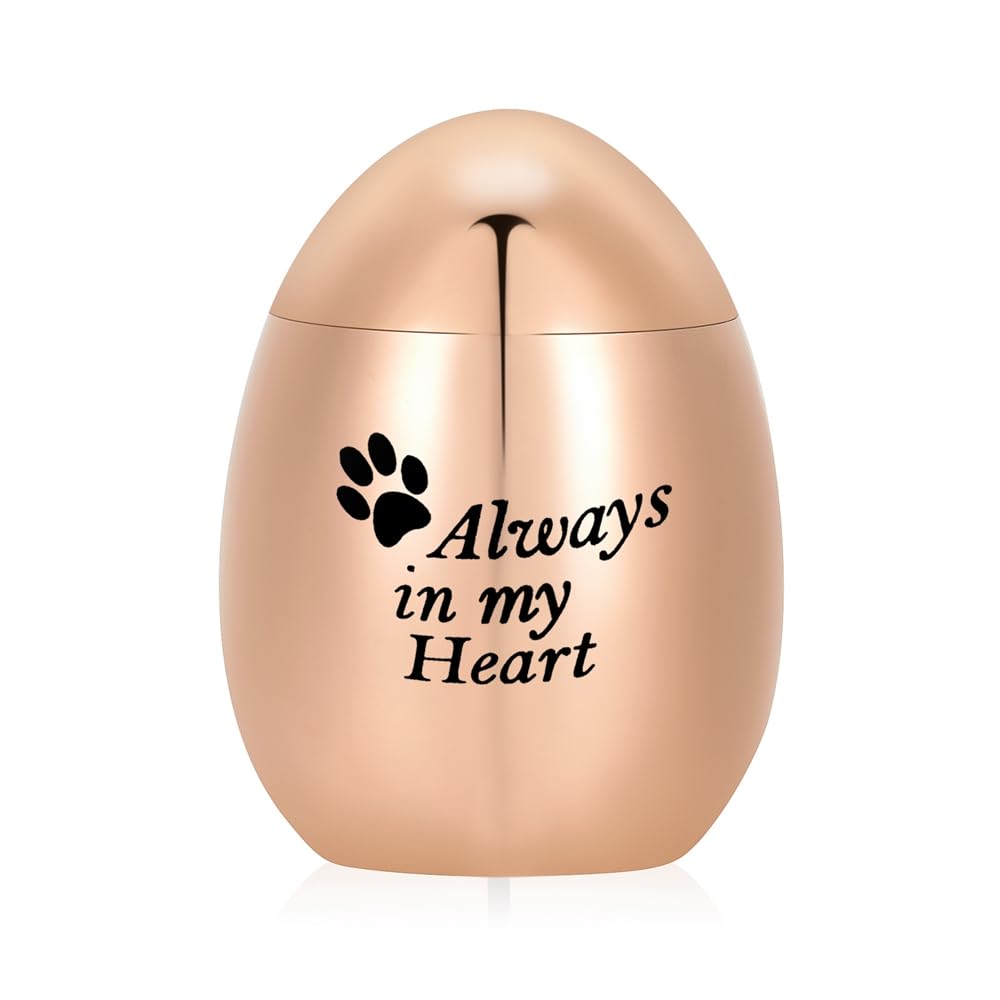 Minicremation Urnas pequeñas para cenizas humanas, urnas de cremación para cenizas humanas/mascotas, mini urnas de recuerdo para cenizas, pequeño recuerdo de acero inoxidable, hermosa urna