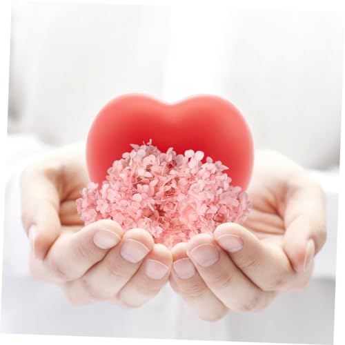 Cabilock Natural Pink Hydrangea Dried Petals Pack miniatura 5