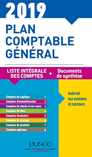 Plan comptable général 2019 - 23e éd. - Plan de comptes & documents de synthèse: Plan de comptes