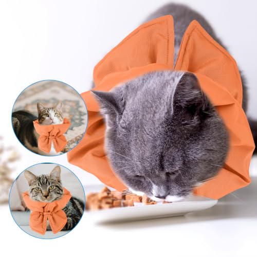 Image of BOXOB Cat Cone Collar, Adjustable Pet Recovery Collar (Orange) | Adjustable Recovery Collar Lightweight Waterproof & Soft Cat Recovery Suit Avoid Licking Wounds for Cats & Dogs