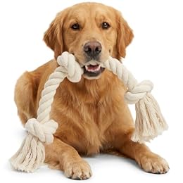 Barida Natural White Cotton Tough Dog Rope Toy for Medium & Large Dogs. Non Toxic and Premium Rope Toys for Dogs.