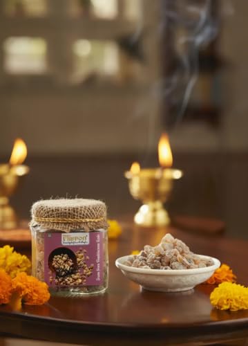 Image of Oman Pure Frankincense Resin (1000 Gm) | Boswellia carterii | Natural Aromatic Incense Resin | Frankincense Tears & Granules | for Pooja, Meditation & Home Fragrance | Long Lasting Aroma