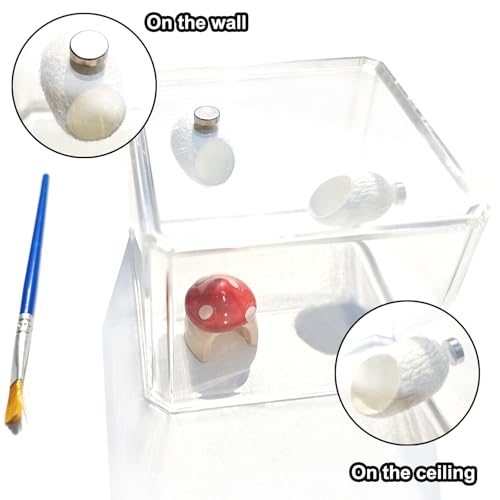 20 Pack Silk Cocoons with Magnets for Jumping Spiders Spoods Hides Silk Cocoon Spider Hide Jumping Spider Enclosure Habitat Accessories for Small Insects Critters