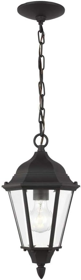 Generation Lighting 60938-12 1-Light Bakersville Traditional Outdoor Pendant Light Fixture Black 60938-12, Modern Ceiling Light Fixture for Home Décor, Outdoor Light Fixture for Porch Décor