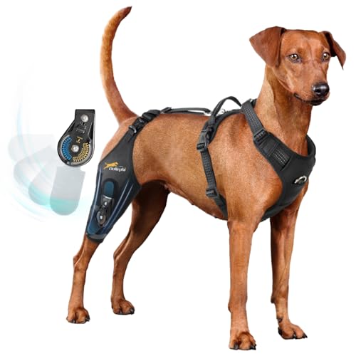 Dollephi Dog Knee Brace for Torn acl hind Leg with Adjustable Hinge Stabilizer, Dog Back Brace for...
