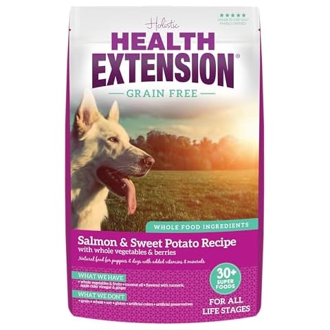 Health Extension Dry Dog Food, Natural with Added Vitamins & Minerals, 1 lb / 0.45 kg, Grain Free, Salmon & Sweet Potato Recipe with Vegetables & Berries for All Puppies Cover