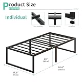 Recopilación de Box Individual para comprar hoy. 30 Imagen adicional