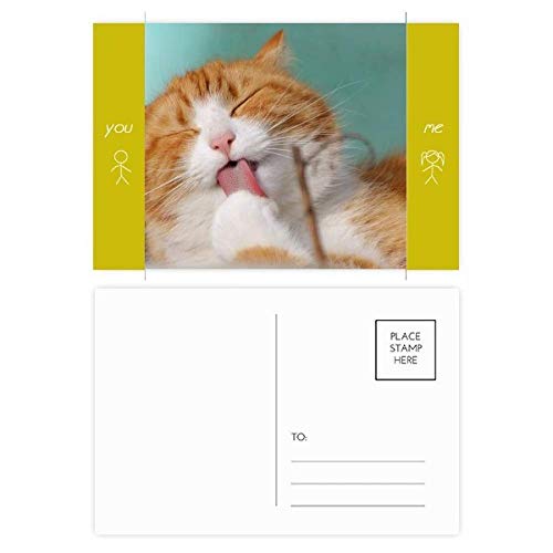 Jeu de cartes postales chat pet animal lécher multicolore 20pcs pour correspondance