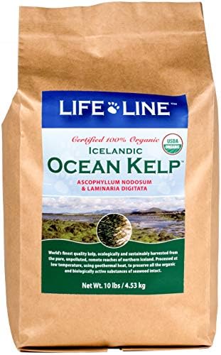 Lifeline Organic Ocean Kelp Dog and Cat Supplement, 10-Pound