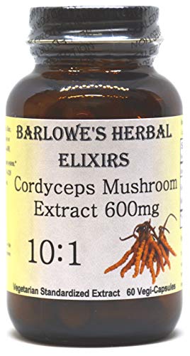 Cordyceps 10:1 Extract - 60 600mg VegiCaps - Stearate Free, Glass Bottle!