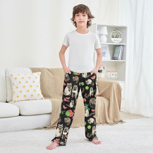 Boys' Pants Raccoon Watermelon Cute Animal Pattern Long Bottoms Jogger Pants Elastic Waist Trousers with Pockets S-XL3