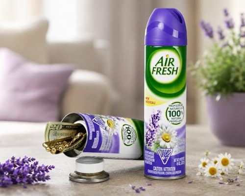 Mini coffre-fort camouflé portable pour ranger vos objets de valeur en colocation - 6