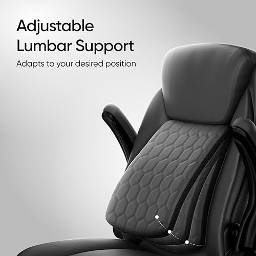 Image of Frido 3D Posture Plus Ergonomic Chair | Adjustable Lumbar Support & 135 Recline | For Lumbar Pain & Posture Correction | Leather Chairs For Office Work, Home, Gaming | 150 kg Capacity (Premium Black)