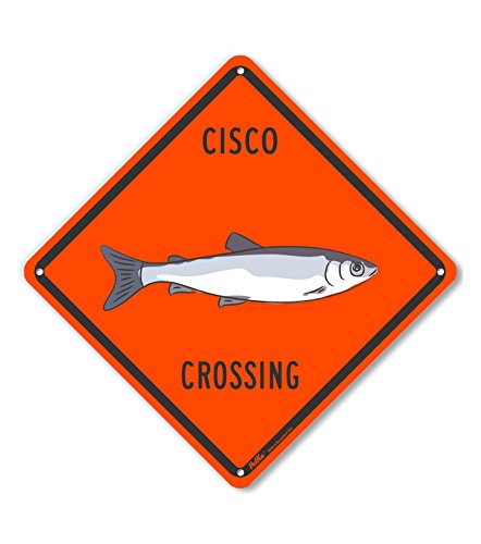 Cisco Crossing plaque alu orange au design durable et épuré 25 cm