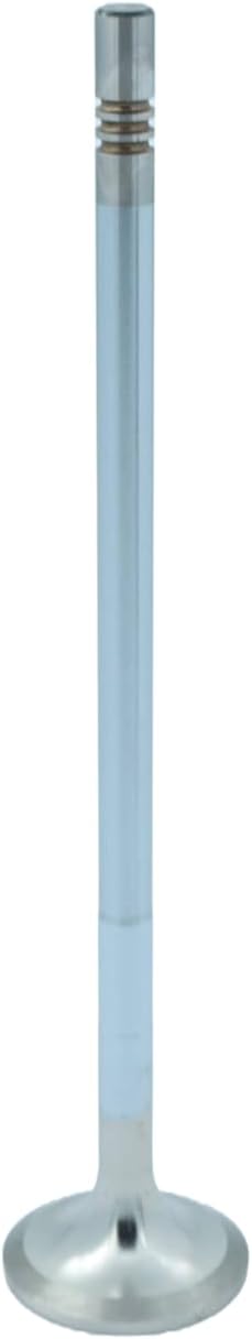 VOE 20528113, 20551761 – Inlet Valve Replacement for Volvo Penta Marine Engines D4, D6, D8 Series