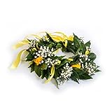 coronedilaurea.com