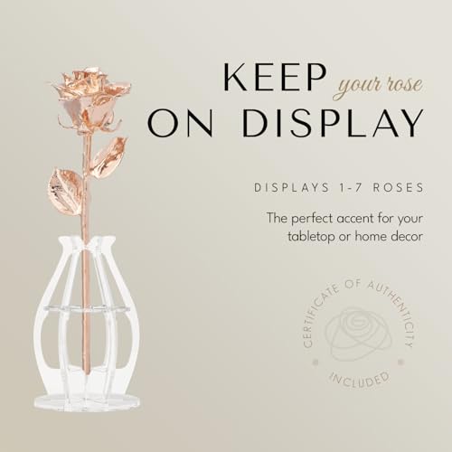 Image of Forever Rose Real Rose Dipped in Rose Gold, Bloom Box and Phantom Vase