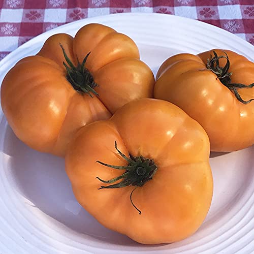 Golden Hills Farm Brandywine Yellow Tomato 40-60 seeds