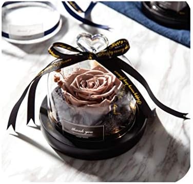 Sharing lives Preserved Exclusive Rose in Glass Dome with Lights Eternal Real Rose Mother's Day GIF,02