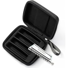 JDR Trochilus 10 Holes Chromatic Harmonica Blues tuning key of G and Case