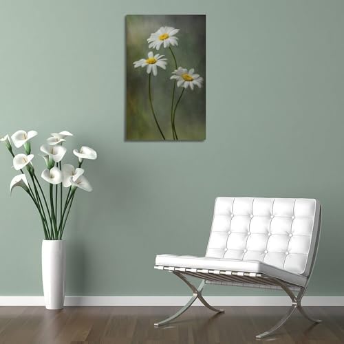 Poster marguerites blanches 40x60cm de style moderne