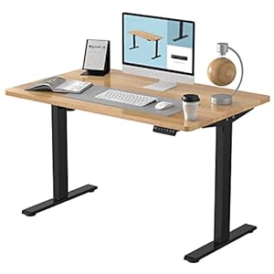 FLEXISPOT EN1 Essential Electric Stand Up Desk Workstation 48 x 30 Inches Whole-Piece Desktop Ergonomic Memory…