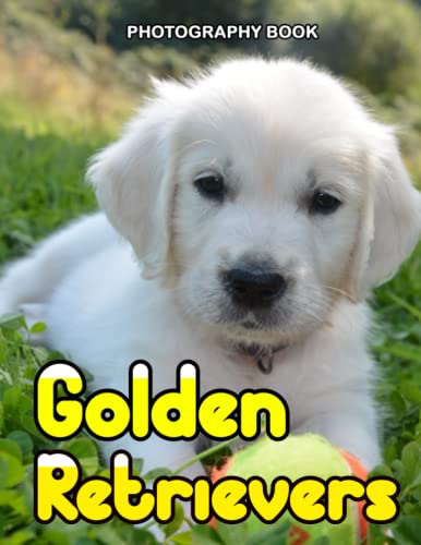 Golden Retrievers Photography Book: A No Text Picture Book For Seniors With Alzheimer’s Or Dementia. A Wonderful Gift For Elderly Parent And Grandparents