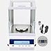 RUISHAN 300g x 1mg Lab Analytical Balance Scale | 0.001g High Accuracy Electronic Scientific Scale Jewelry Gold Scale .001 Digital Gram Weighs Scale Centigram Scale, Calibrated Scale, Chemistry Scale