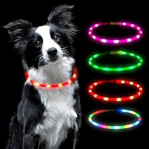 AUAUY LED Leuchthalsband Hund