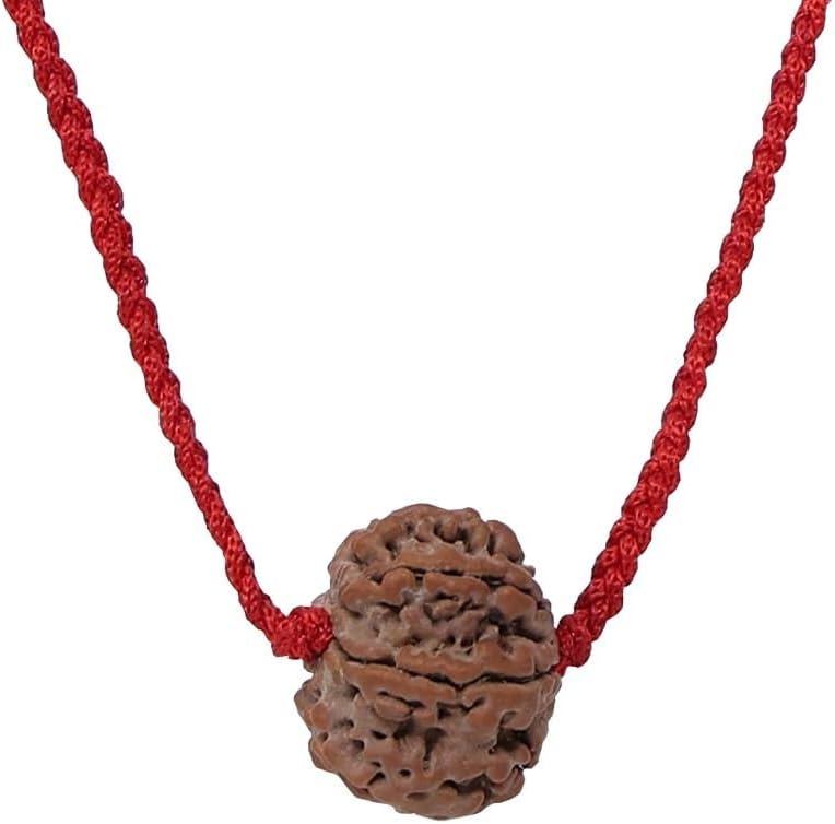 CHAKRADHARI 07 Face Rudraksha of Nepal Mantra Siddha for Men and Women for Wealth