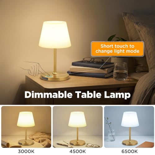 Image of 2 Pack Shower Lamp Waterproof, 6000mAh & 3 Color Temps and Stepless Dimming