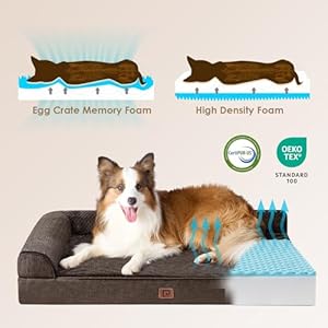   EHEYCIGA-Memory-Foam-Orthopedic-XL-Dog-Bed-Washable-Dog-Bed-with-Waterproof-Lining-Removable-Cover-Extra-Large-Dog-Bed-Sofa-with-Nonskid-Bottom-XLarge-Pet-Couch-Bed-44x32-Inches-Brown