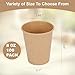 Walasaso Disposable Cups, 100 Pack 8 Oz Kraft Paper Cups, Paper Coffee Cups, Disposable Cups 8 oz for Hot or Cold Beverage 2