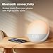 Sunrise Alarm Clock White Noise Machine: Natural Wake Up Light - Dimmable Clock with Bluetooth Speaker for Bedroom - 25 Sleep Sounds for Baby Adults Kids Frost White