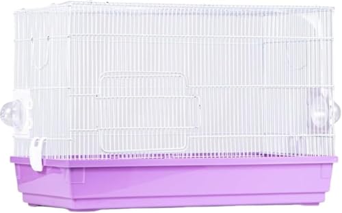 MaryseanX^[ P[W 傫 ^TCY P[W P[W ԃ^Cv bg S[fnX^[ LN}nX^[  Eh~ (p[v)