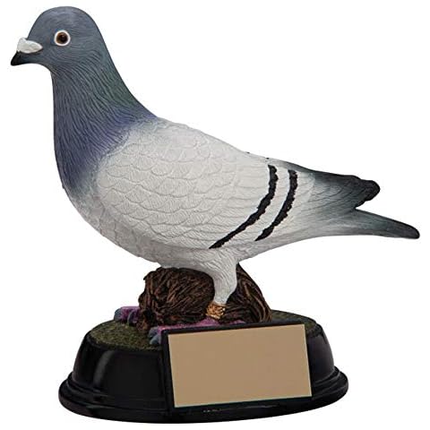 A1 PERSONALISED GIFTS Elite Pigeon Racer Trophies Cover