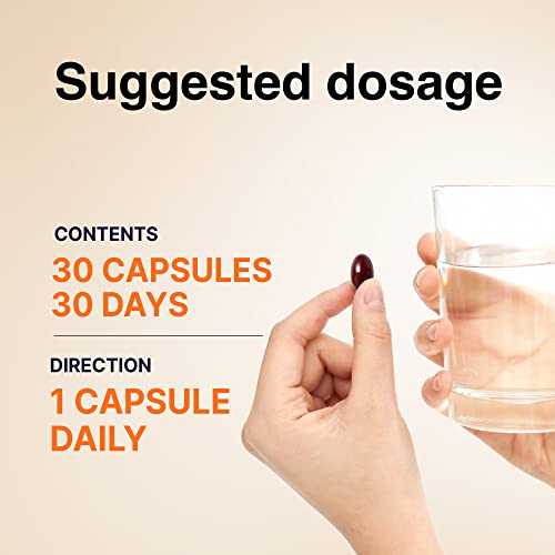 Cheongkwanjang [Korean Red Ginseng Extract Capsules Plus -All-In-1 Focus Pills For Men & Women, Natural Energy Supplements,Circulation, Immune Support, Brain Booster - 30 Capsules #TOP7