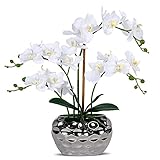 White Orchid Flower - Se avete problemi al momento della ricezione dell'articolo, non esitate a contattarci. Risponderemmo entro 24 ore.