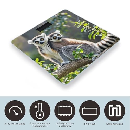 Báscula Digital de Vidrio Templado Ringtailed Lemur miniatura 3