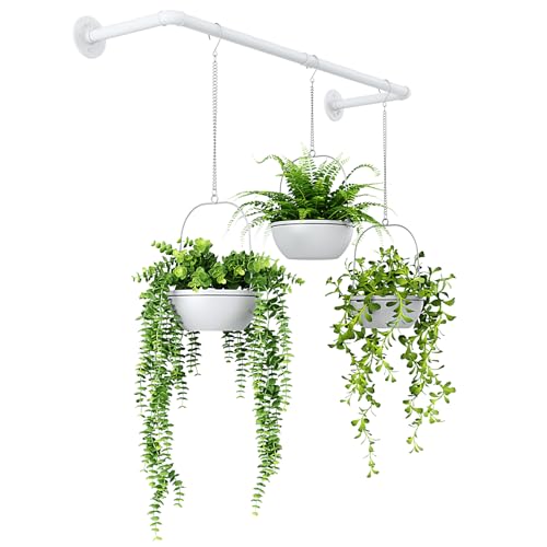Bamworld Hanging Planters for Indoor Plants Plant Hanger Indoor Hanging