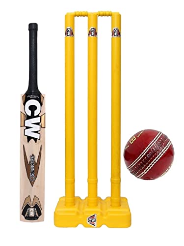Kit de cricket CW Smash d'entraînement haut de gamme avec batte en saule et balle en cuir