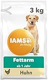 IAMS for Vitality Light Hundefutter trocken - fettarmes Trockenfutter für Hunde ab 1 Jahr, 3 kg