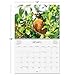 Current 2026 Bird Lovers Wall Calendar, 12-Inch x 9-Inch Size Closed, 18-Inch Size Open, Large Bookstore-Quality, Spiral-Bound Hanging Monthly Wall Calendars for Kitchen & Office