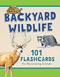 Backyard Wildlife: 101 Flashcards for Discovering Animals