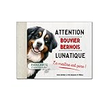 Produit artisanal, fait main Plaque chien Bouvier Bernois humour lunatique monte la garde panneau pancarte attention au chien mignon en aluminium