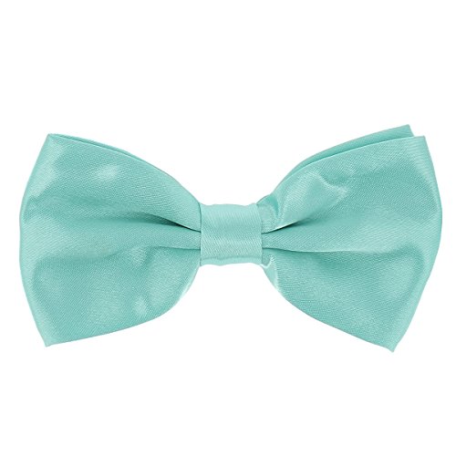 Pajarita Verde Agua Cover