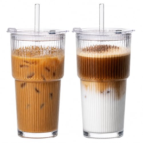 VA1KENE 20oz Glass Tumblers with...